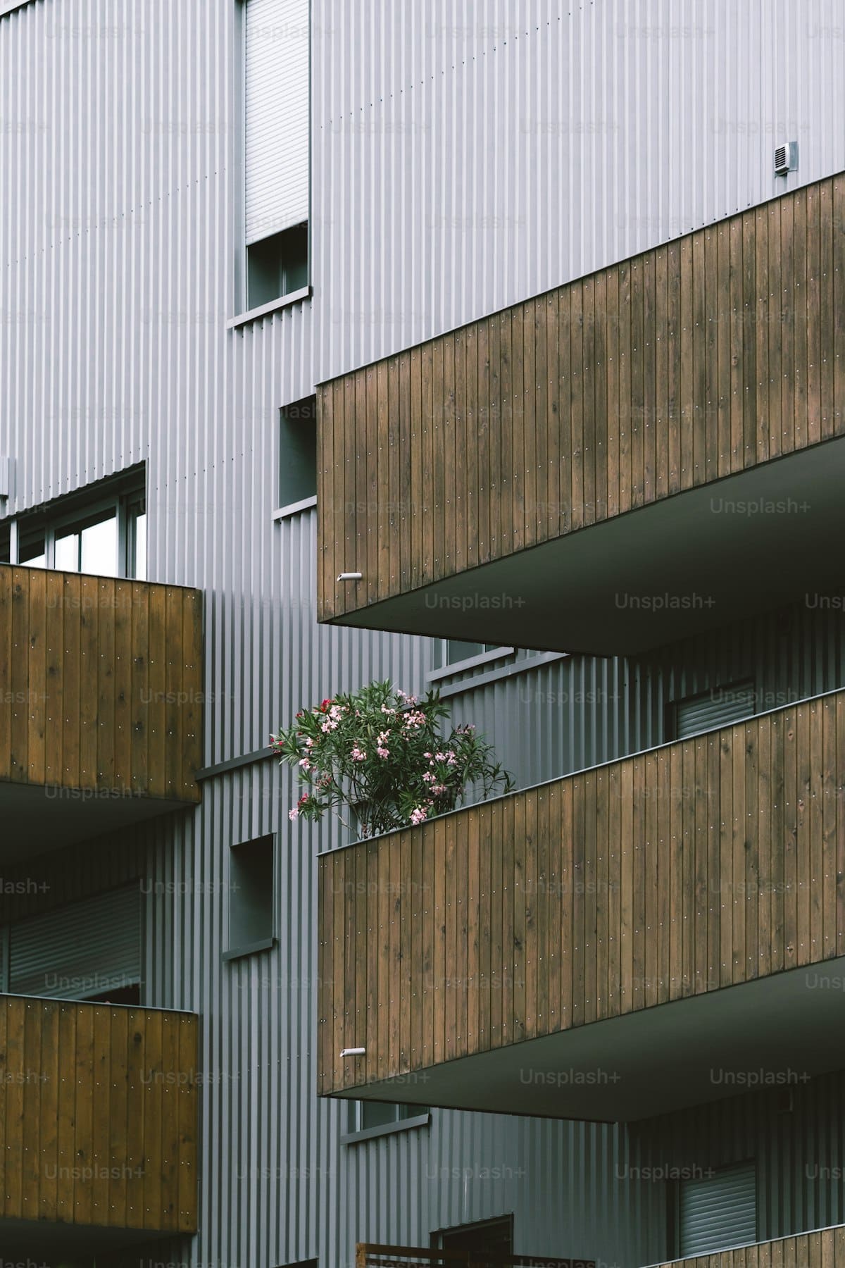 Immeuble haussmannien quartier Fondaudege Bordeaux